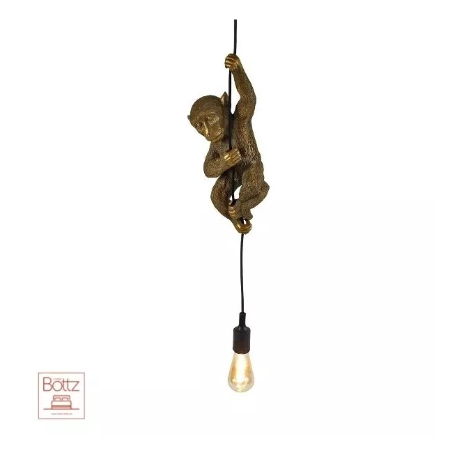 Ceiling Lamp Chip Ceiling Lamp Chip