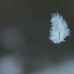 Les Avantages du Duvet pour l'Hiver : Chaleur et Confort à Literie Bottz