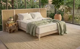 Collection Anatomic Revor : Kashmir ou Aero — comment choisir le bon modèle selon votre profil