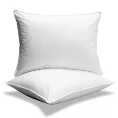 Oreiller Basic Plumes Oreiller Basic Plumes