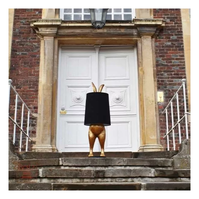 Hiding Rabbit S Hiding Rabbit S